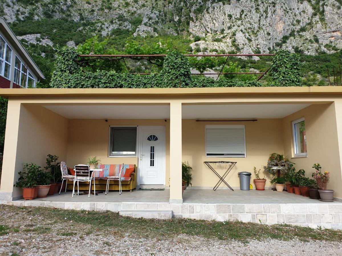 Apartment Jelena Kotor Extérieur photo