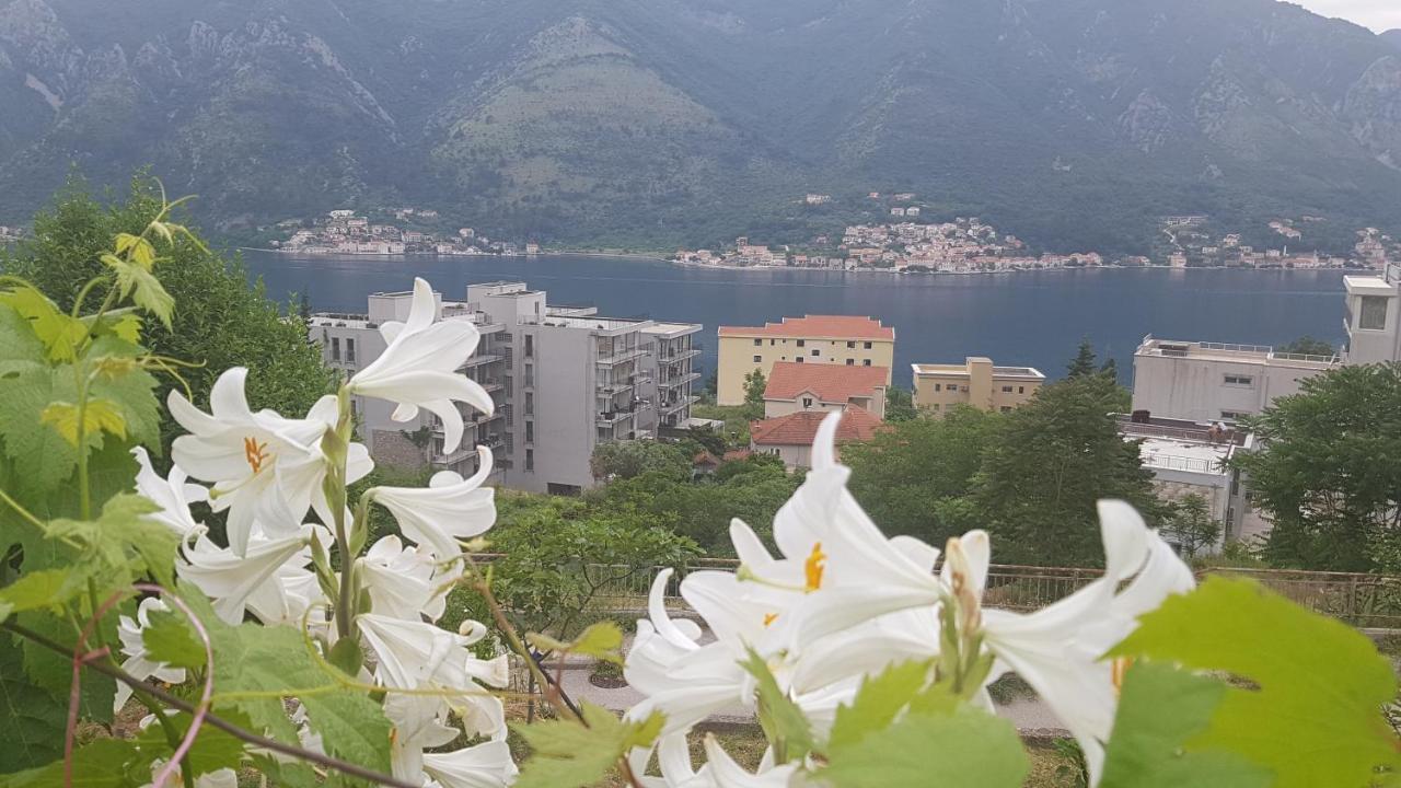 Apartment Jelena Kotor Extérieur photo